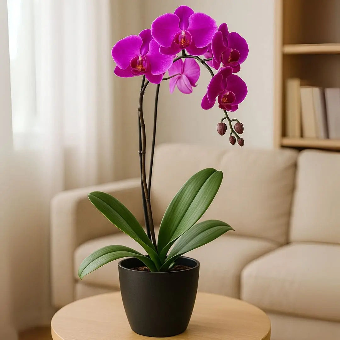 Vaso Cachepot Redondo em Polipropileno 15x12,5cm