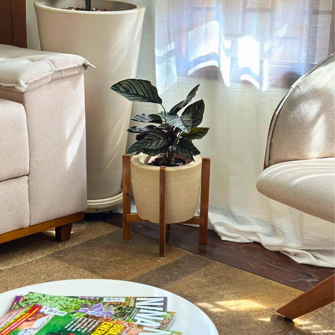 Kit Vaso Decorativo em Polietileno + Suporte de Madeira Rústica