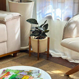Kit Vaso Decorativo em Polietileno + Suporte de Madeira Rústica