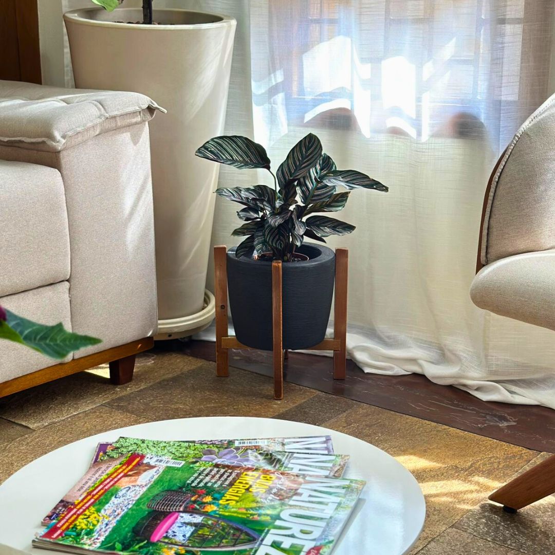 Kit Vaso Decorativo em Polietileno + Suporte de Madeira Rústica