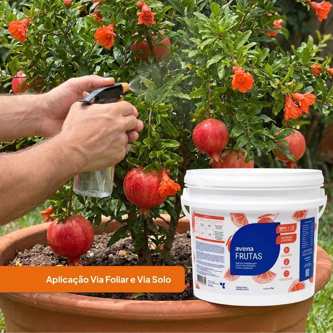 Adubo Para Frutas Fertilizante Avena 3kg