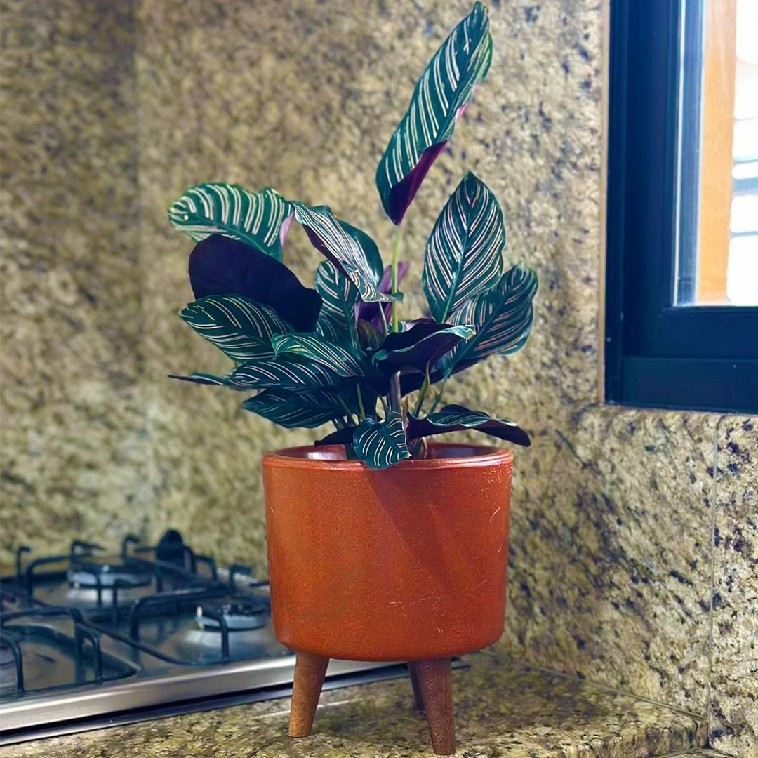 Mini Vaso Linha Doha 22cm com Tripé