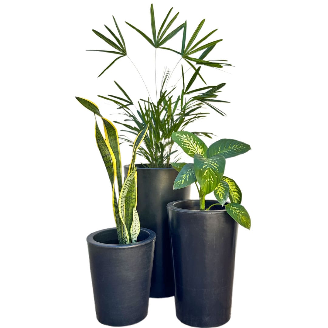 Kit 3 Vasos Damasco Brilhantes