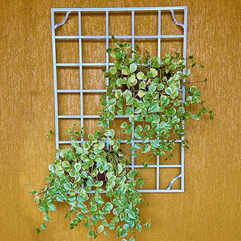 Painel de Ferro para Jardim Vertical