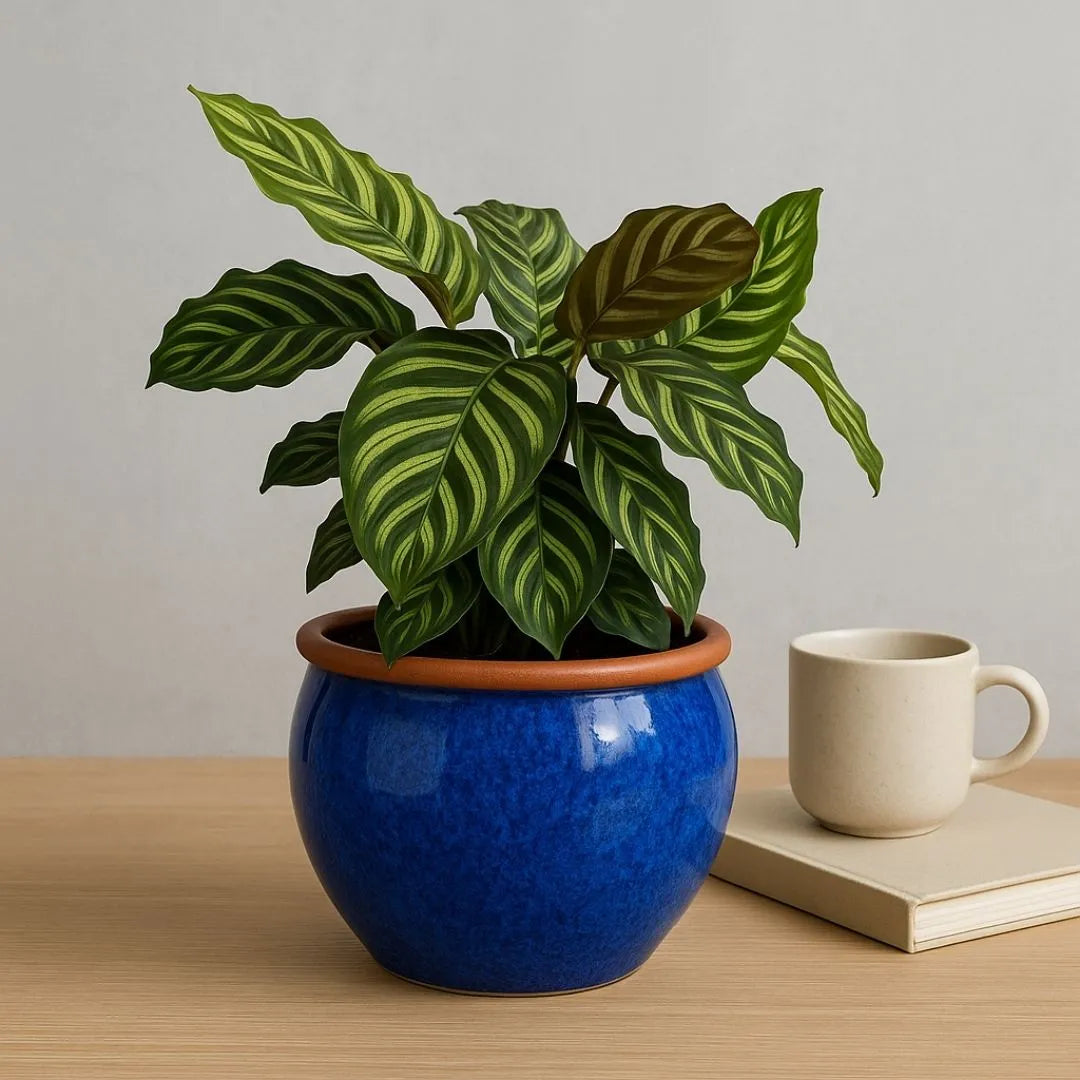 Vaso Cachepot em Cerâmica Esmaltada 18,5cm