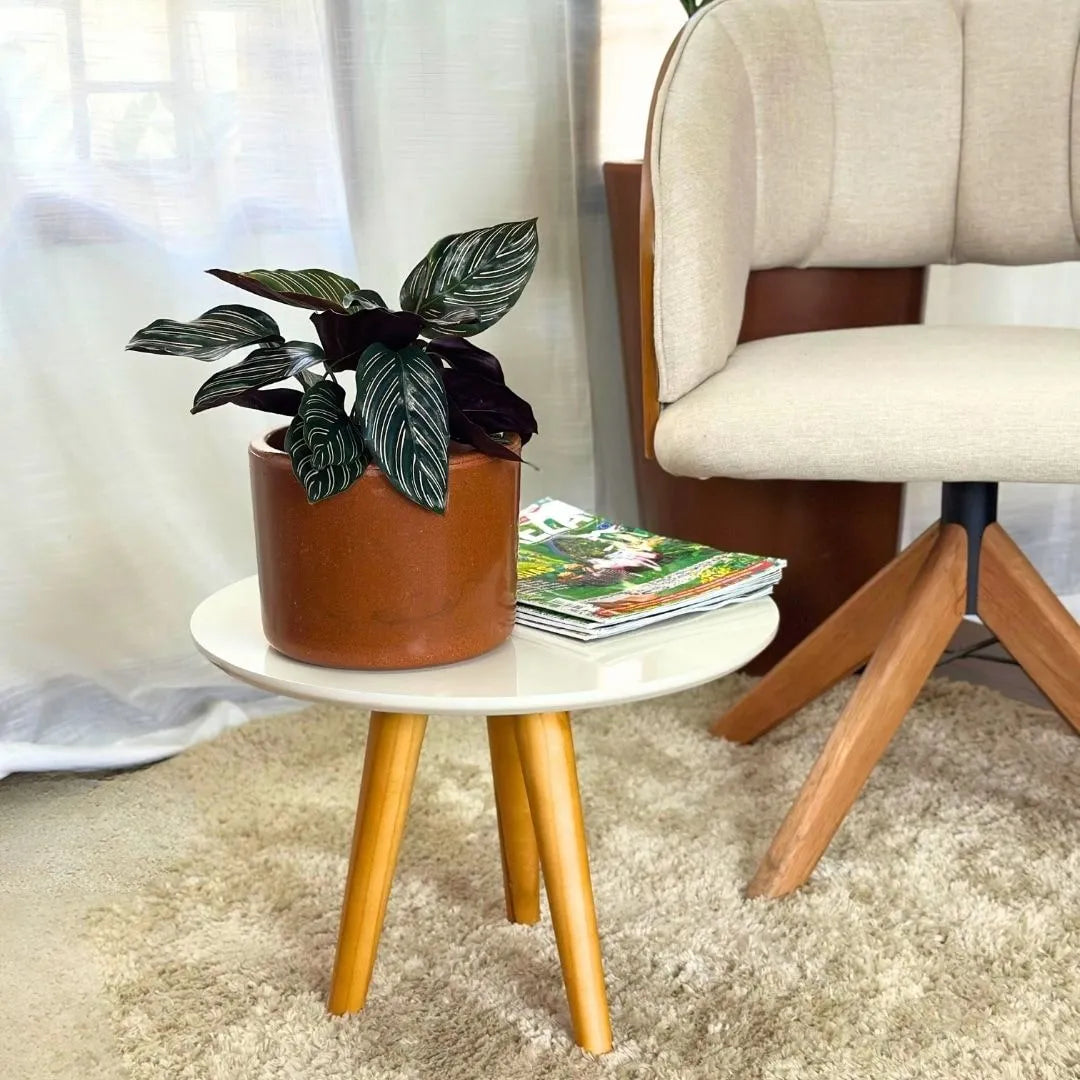 Vaso Decorativo Redondo Mini Doha 14x19cm