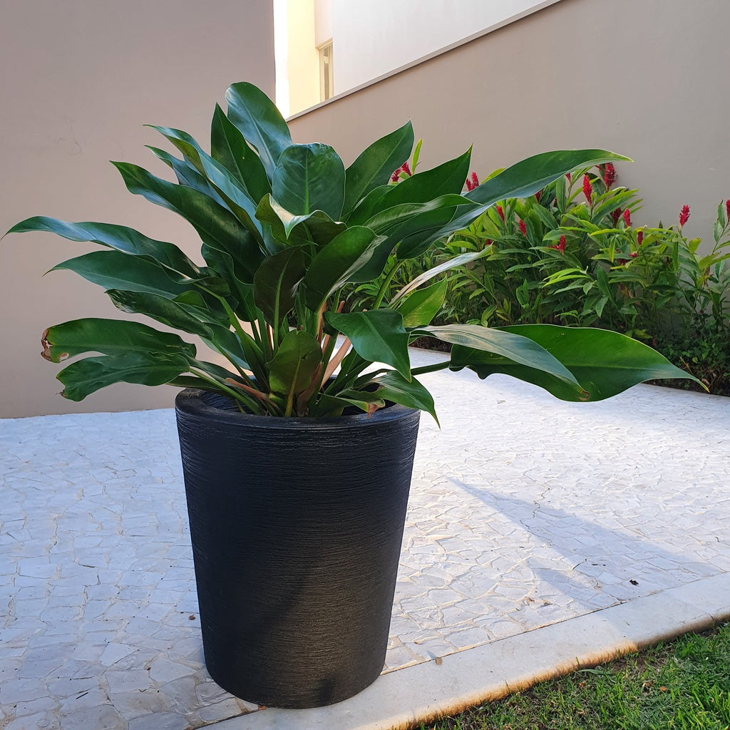 Kit Vaso em Polietileno 38x33cm + Suporte com Rodas