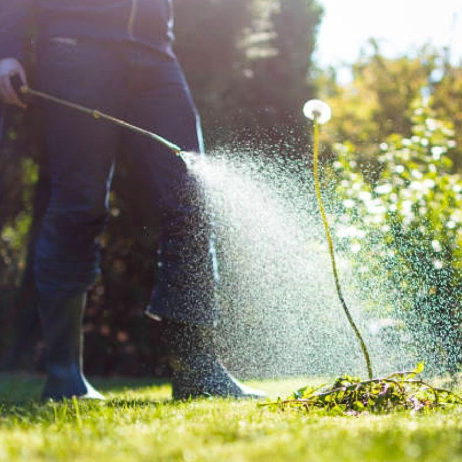 Glifomato Elimina Mato Insetimax 100ml