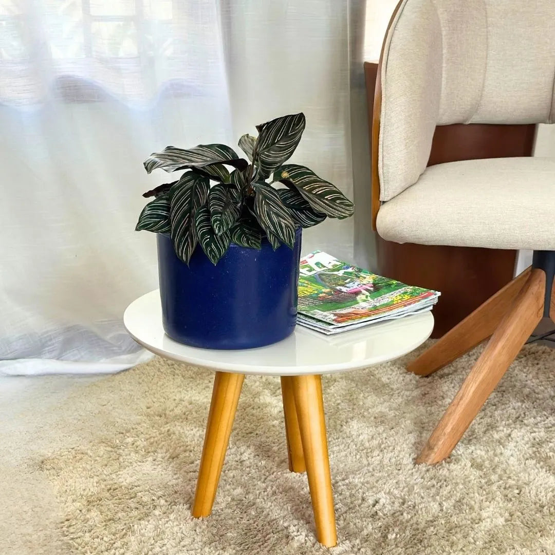 Vaso Decorativo Redondo Mini Doha 14x19cm