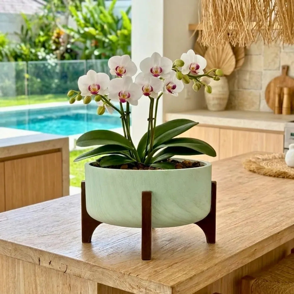 Vaso Bacia Linha Genebra com Suporte de Madeira