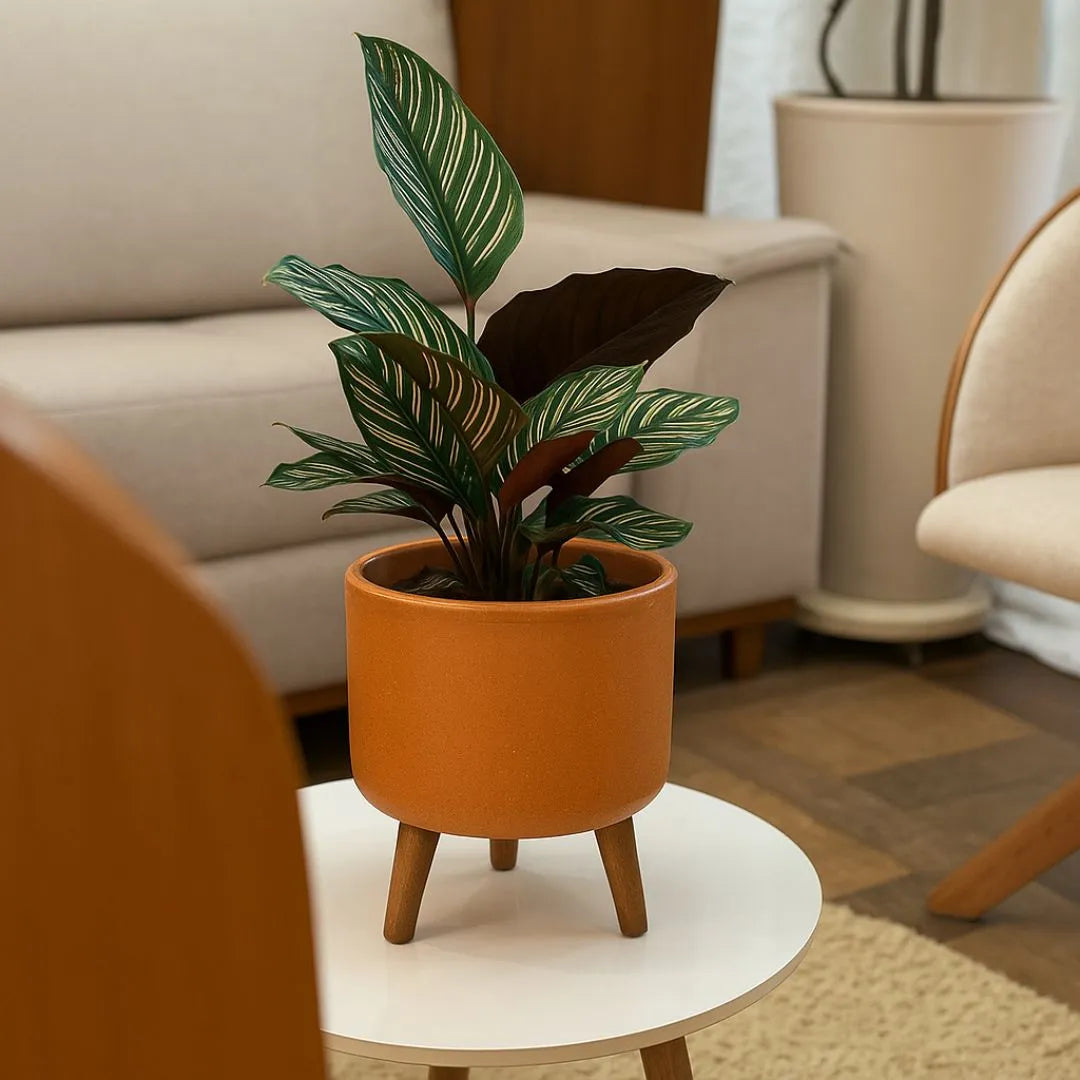 Mini Vaso Linha Doha 22cm com Tripé