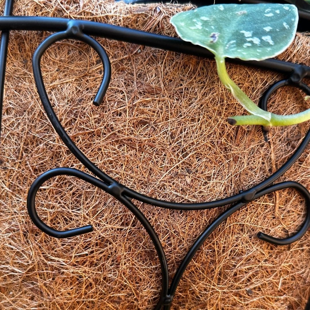 Jardineira de Fibra de Coco com Suporte Ornamentado