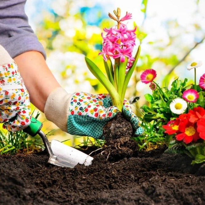 Forth Adubo para Flores 400g