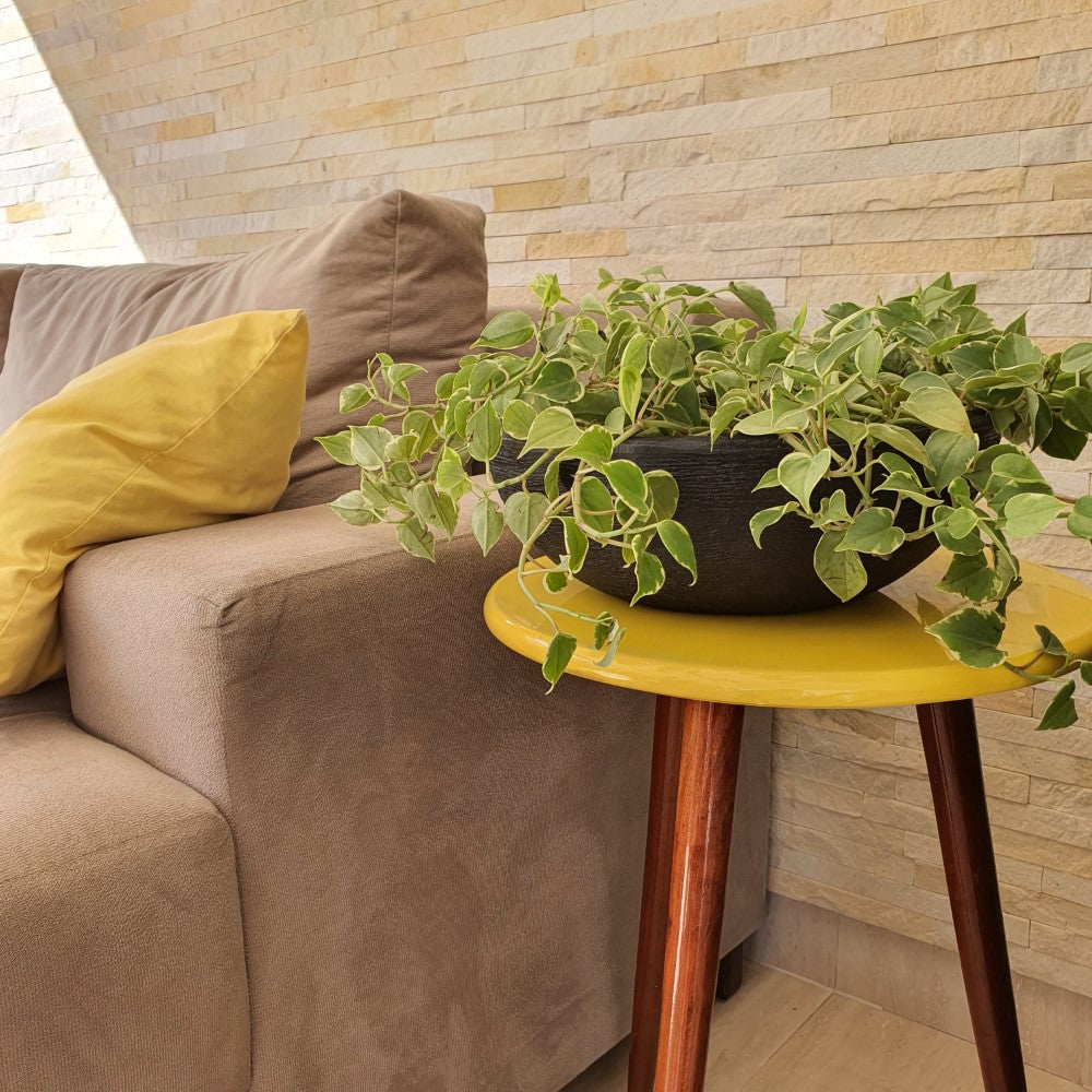 Vaso Bacia Cuia Pequeno em Polietileno