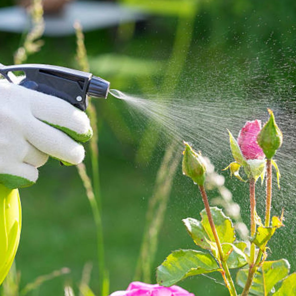 Glifomato Elimina Mato Insetimax 100ml