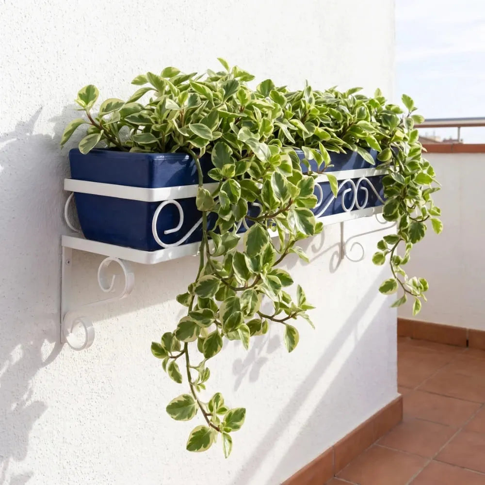 Suporte de Parede Mão Francesa para Jardineiras