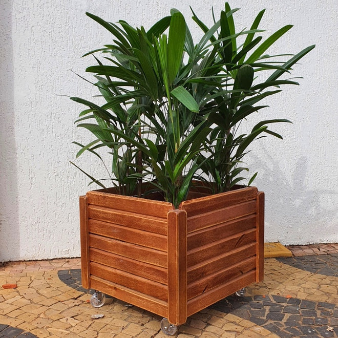 Vaso Cachepot de Madeira com Rodas