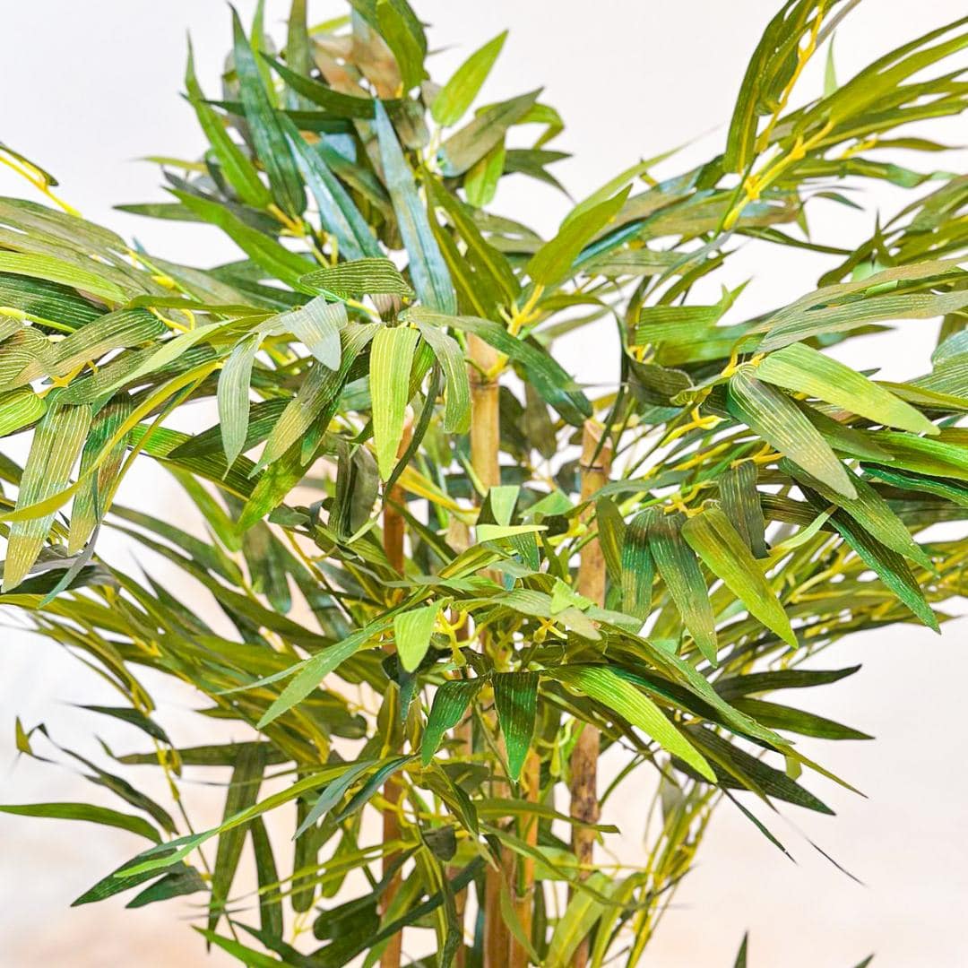 Planta Artificial Árvore Bambu Mossô Real Decoração 1,6m