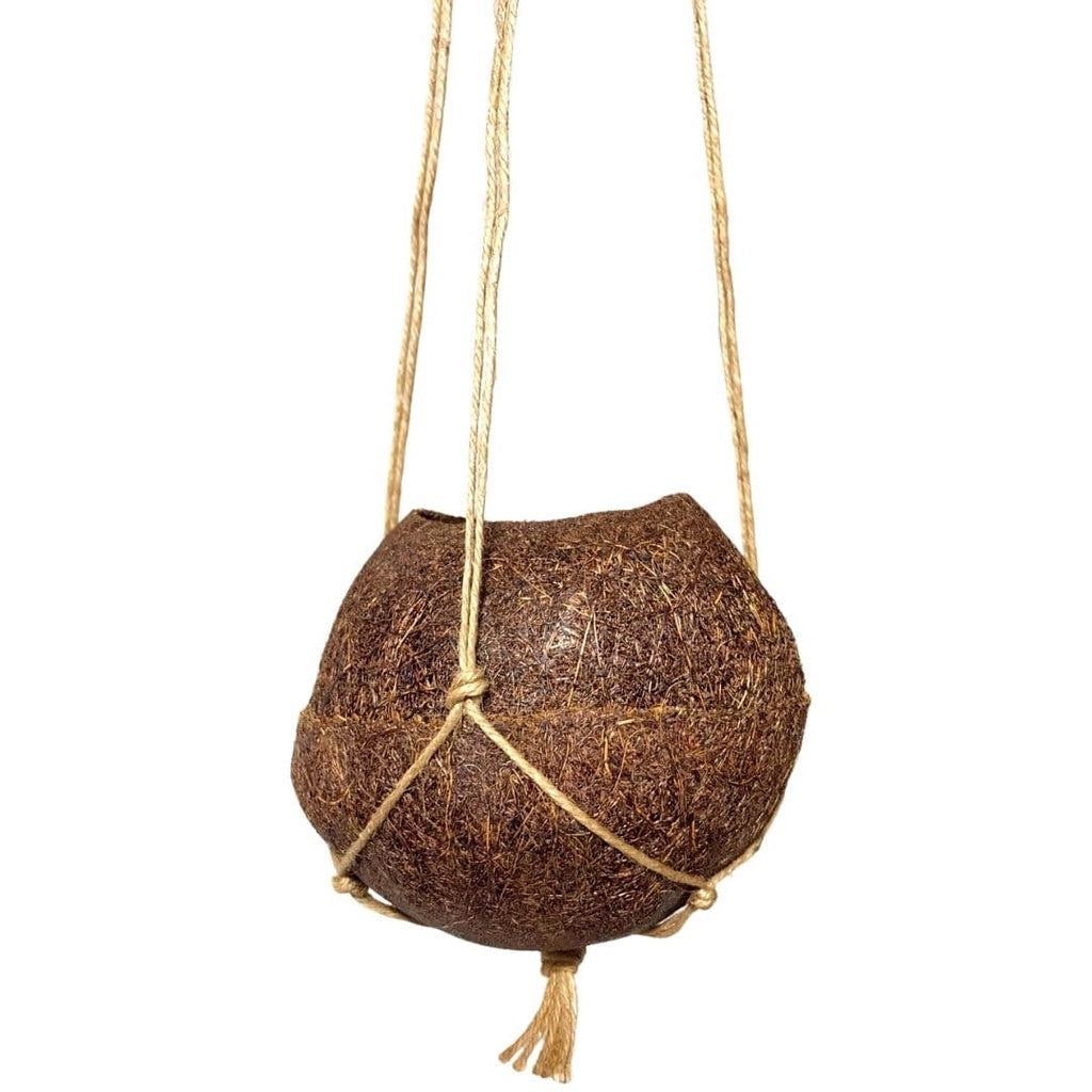 Vaso Fibra De Coco Natural Kokedama Suspenso 10x11cm