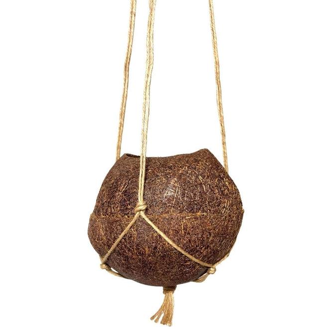 Vaso Fibra De Coco Natural Kokedama Suspenso 10x11cm