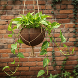 Vaso Fibra De Coco Natural Kokedama Suspenso 10x11cm