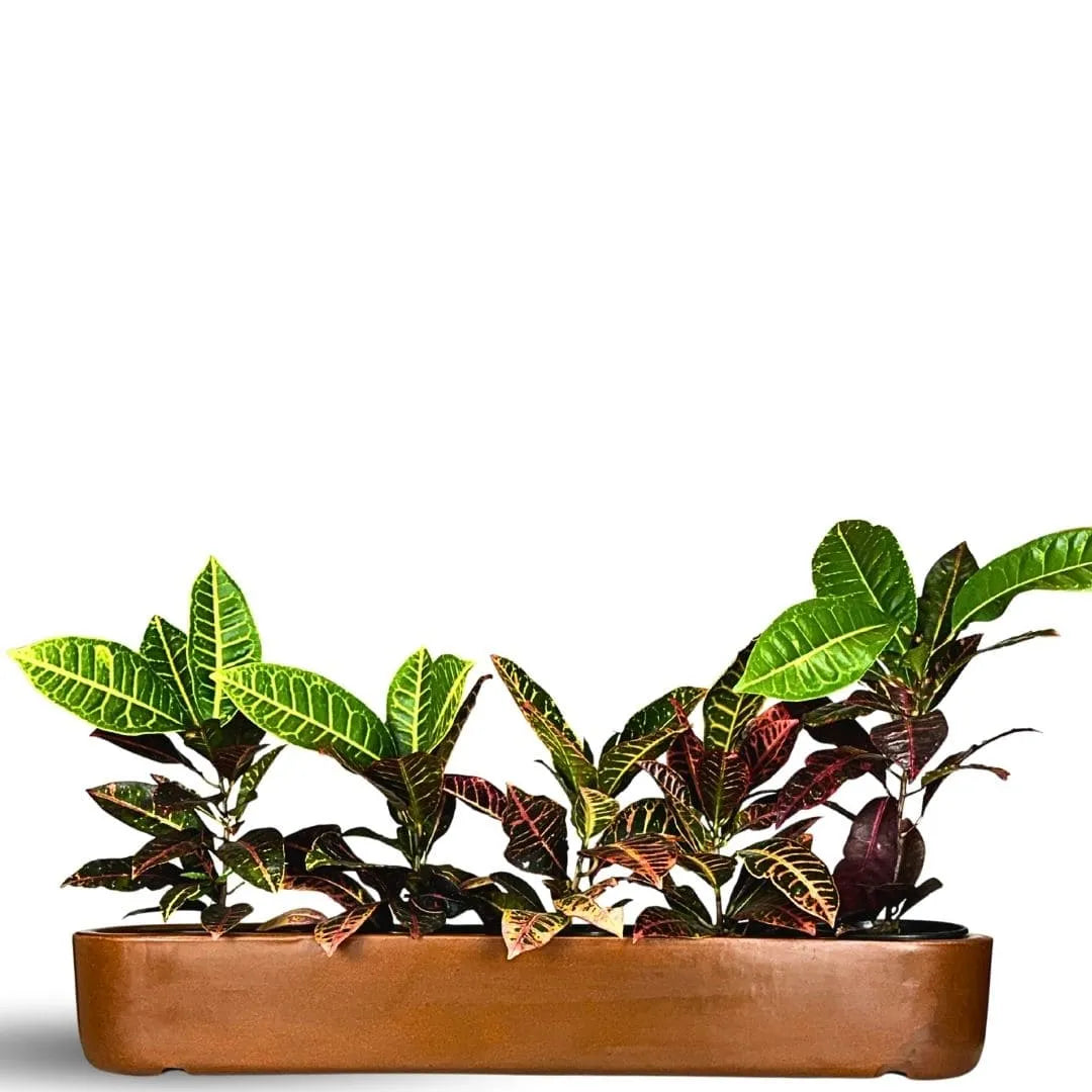 Jardineira Doha em Polietileno 80x17cm