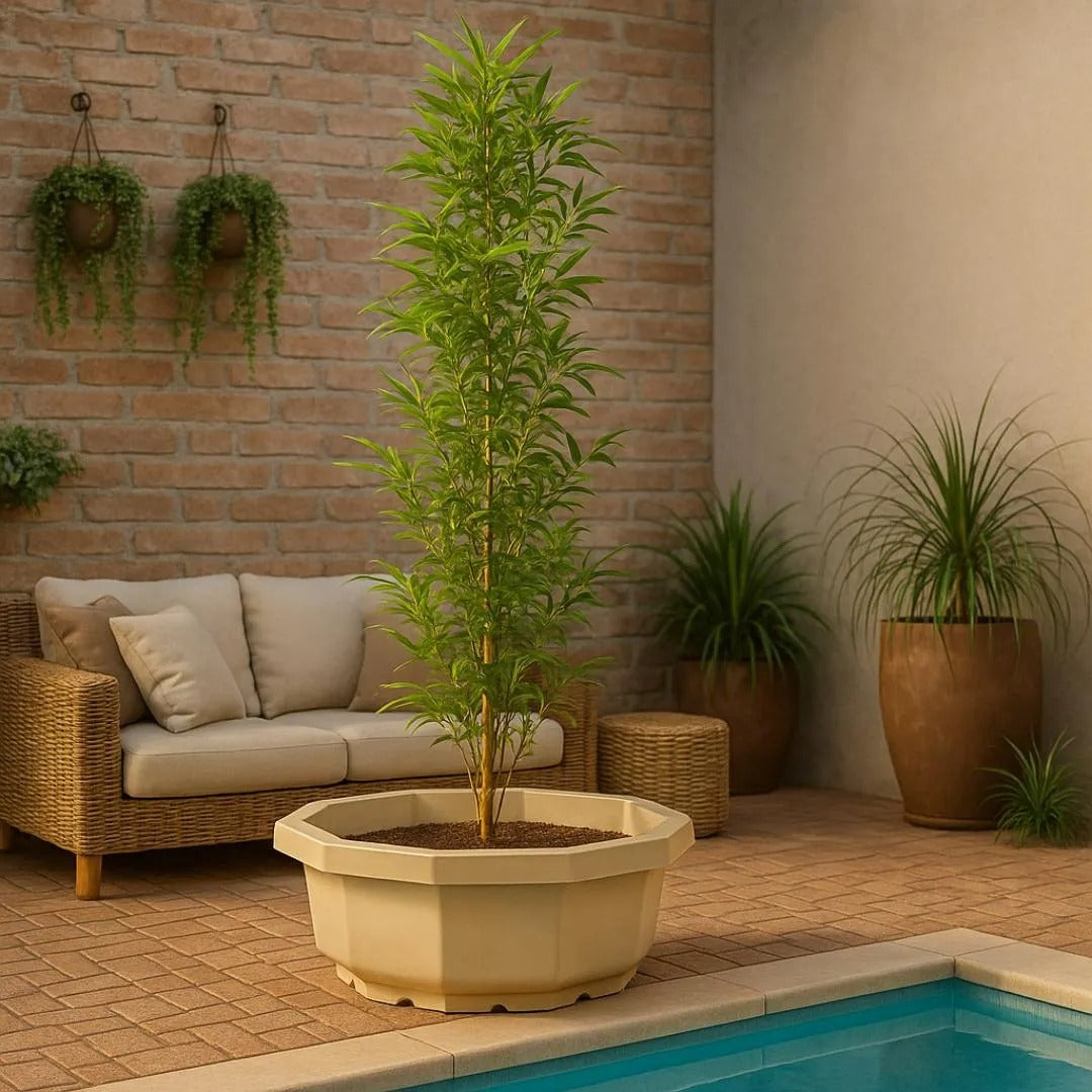 Vaso Bacia Oitavado Siena em Polietileno