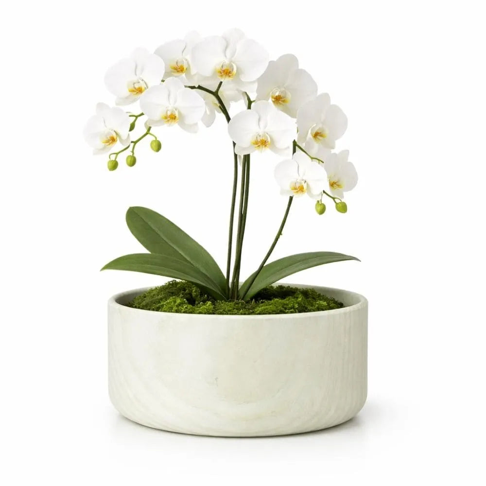 Vaso Bacia Linha Genebra em Cerâmica