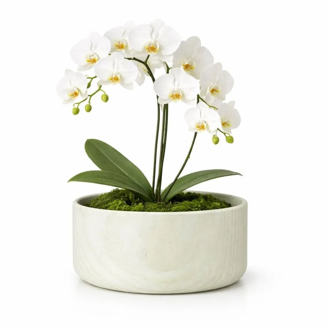 Vaso Bacia Linha Genebra em Cerâmica
