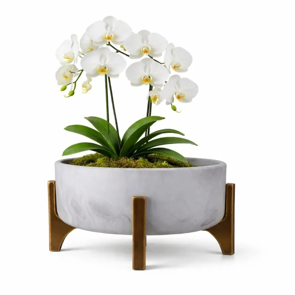 Vaso Bacia Linha Genebra com Suporte de Madeira