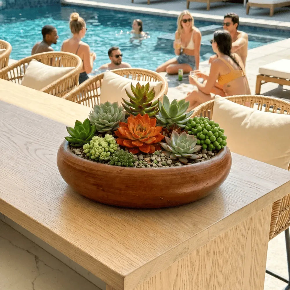 Vasos de Cerâmica para Suculentas