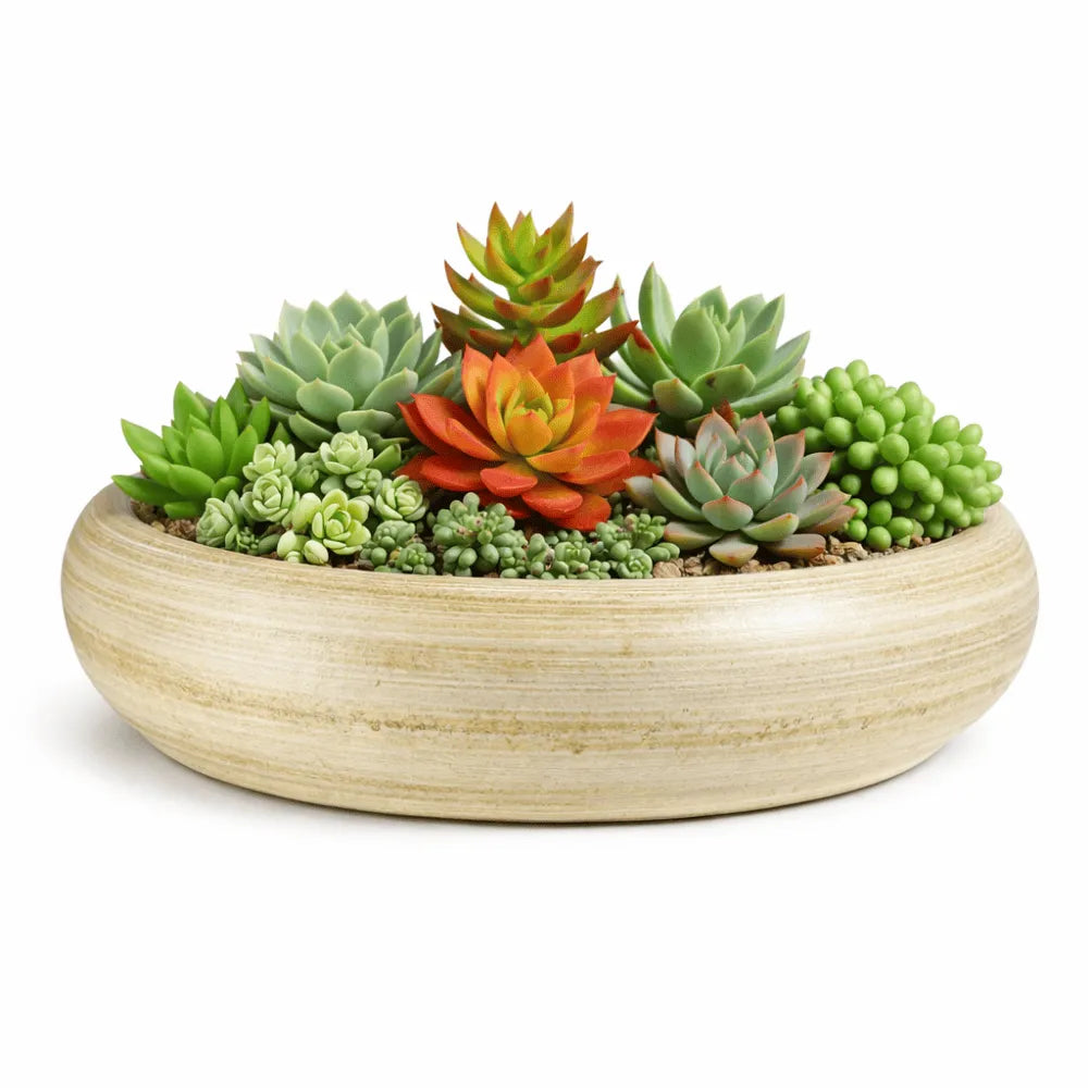 Vasos de Cerâmica para Suculentas