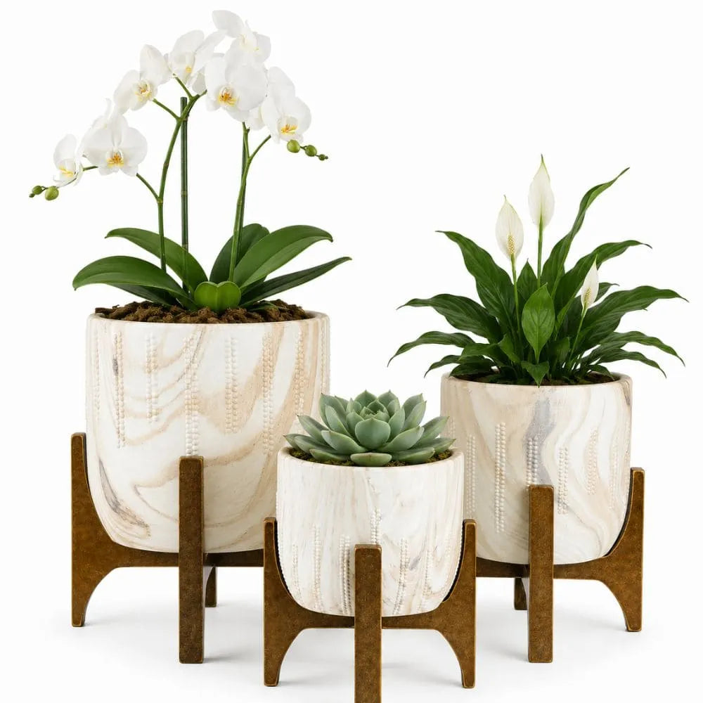Kit 3 Vasos Genebra com Suporte de Madeira Baixo