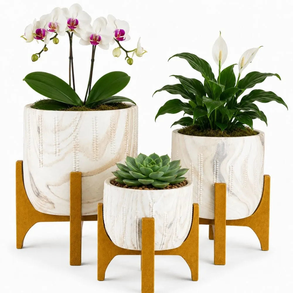 Kit 3 Vasos Genebra com Suporte de Madeira Baixo