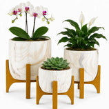 Kit 3 Vasos Genebra com Suporte de Madeira Baixo