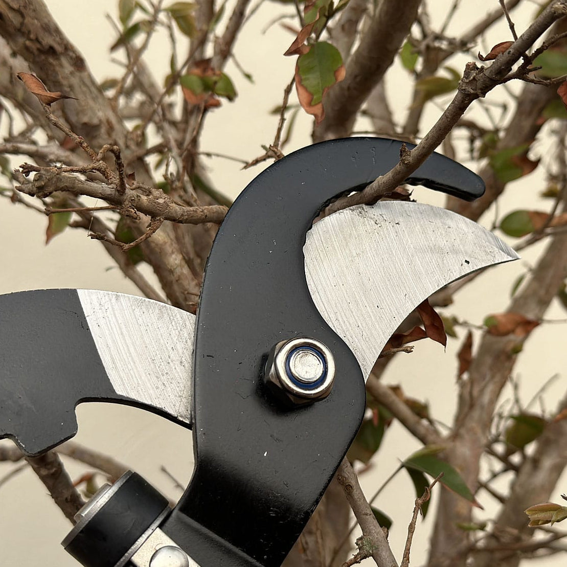 Tesoura de Poda Profissional para Galhos Grossos