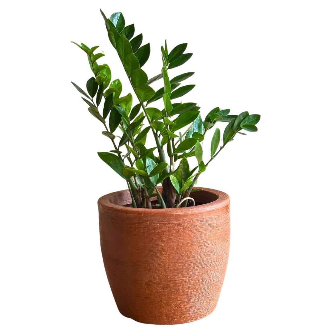 Kit 3 Vasos Decorativos em Polietileno