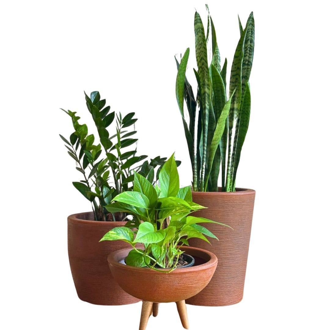 Kit 3 Vasos Decorativos em Polietileno