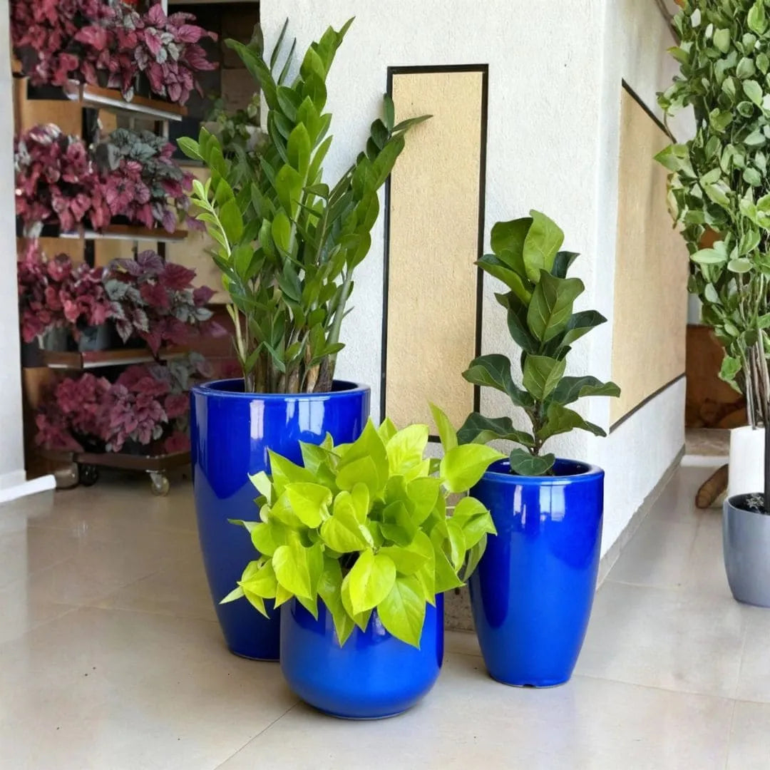 Kit 3 Vasos Polietileno Cone + Bacia