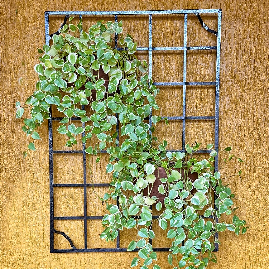 Painel de Ferro para Jardim Vertical
