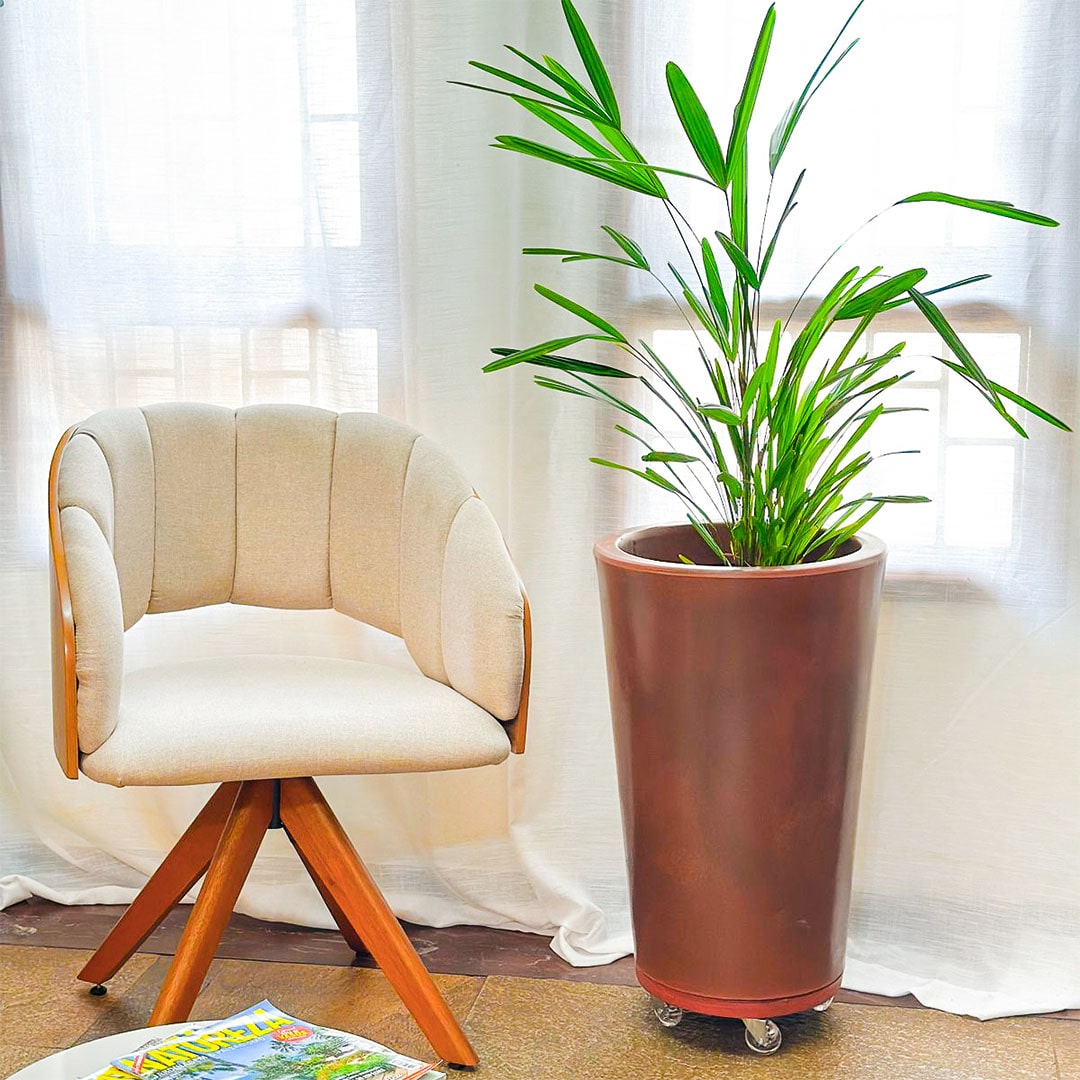 Vaso de Planta e Suporte com Roda Para Decoração Kit 2 Peças