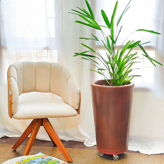 Vaso de Planta e Suporte com Roda Para Decoração Kit 2 Peças