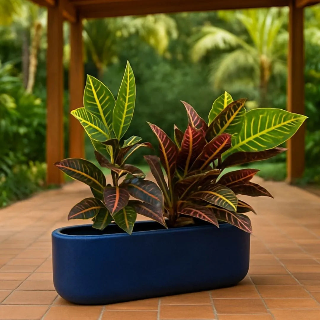 Jardineira Doha em Polietileno 50x17cm