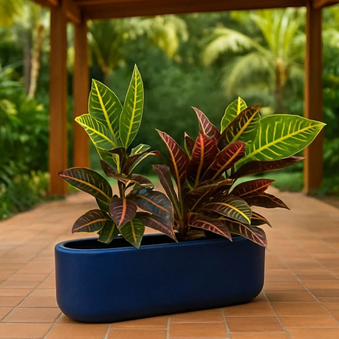 Jardineira Doha em Polietileno 50x17cm