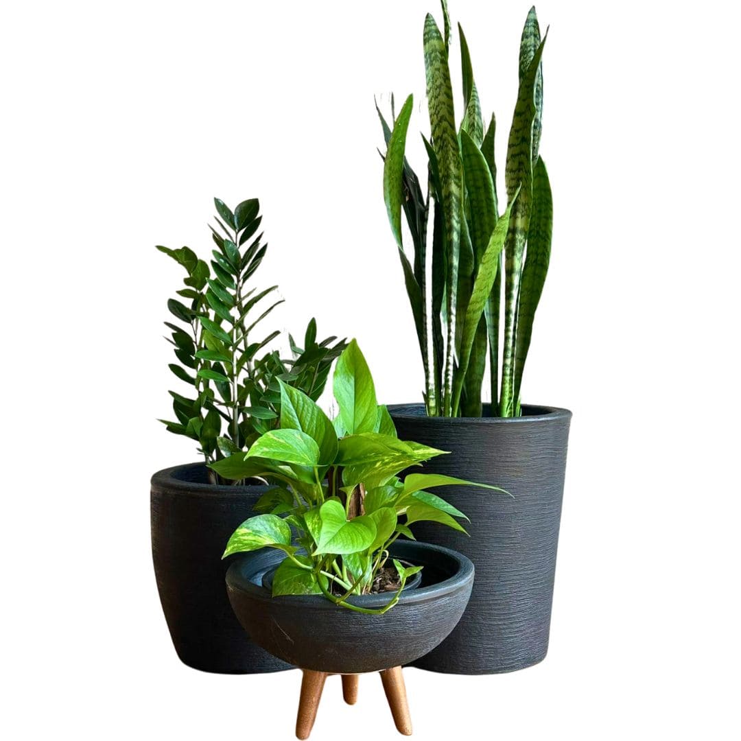 Kit 3 Vasos Decorativos em Polietileno