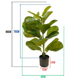 Planta Artificial Ficus Lyrata 80cm