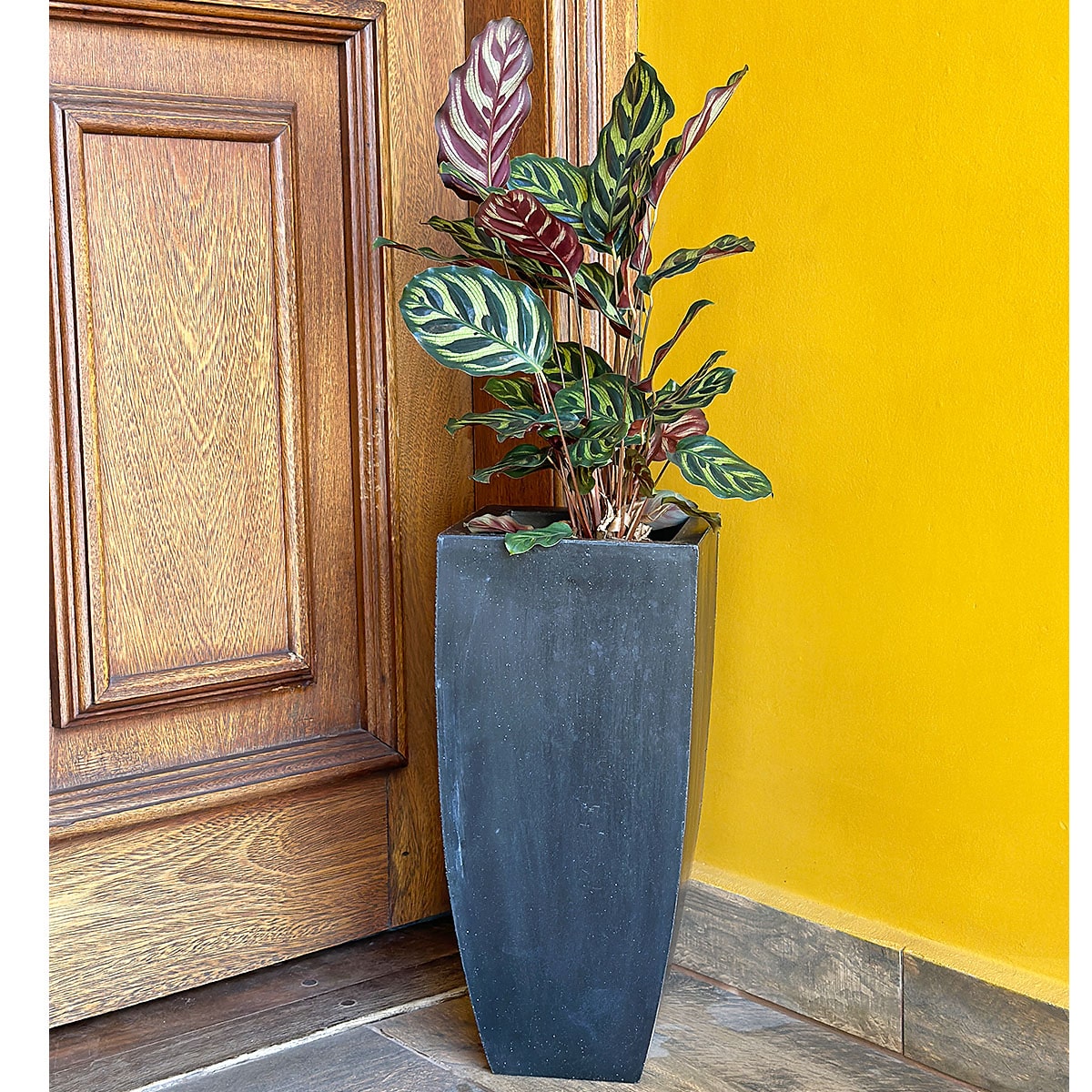 Vaso Fino para Plantas E Decoração de Ambientes Internos