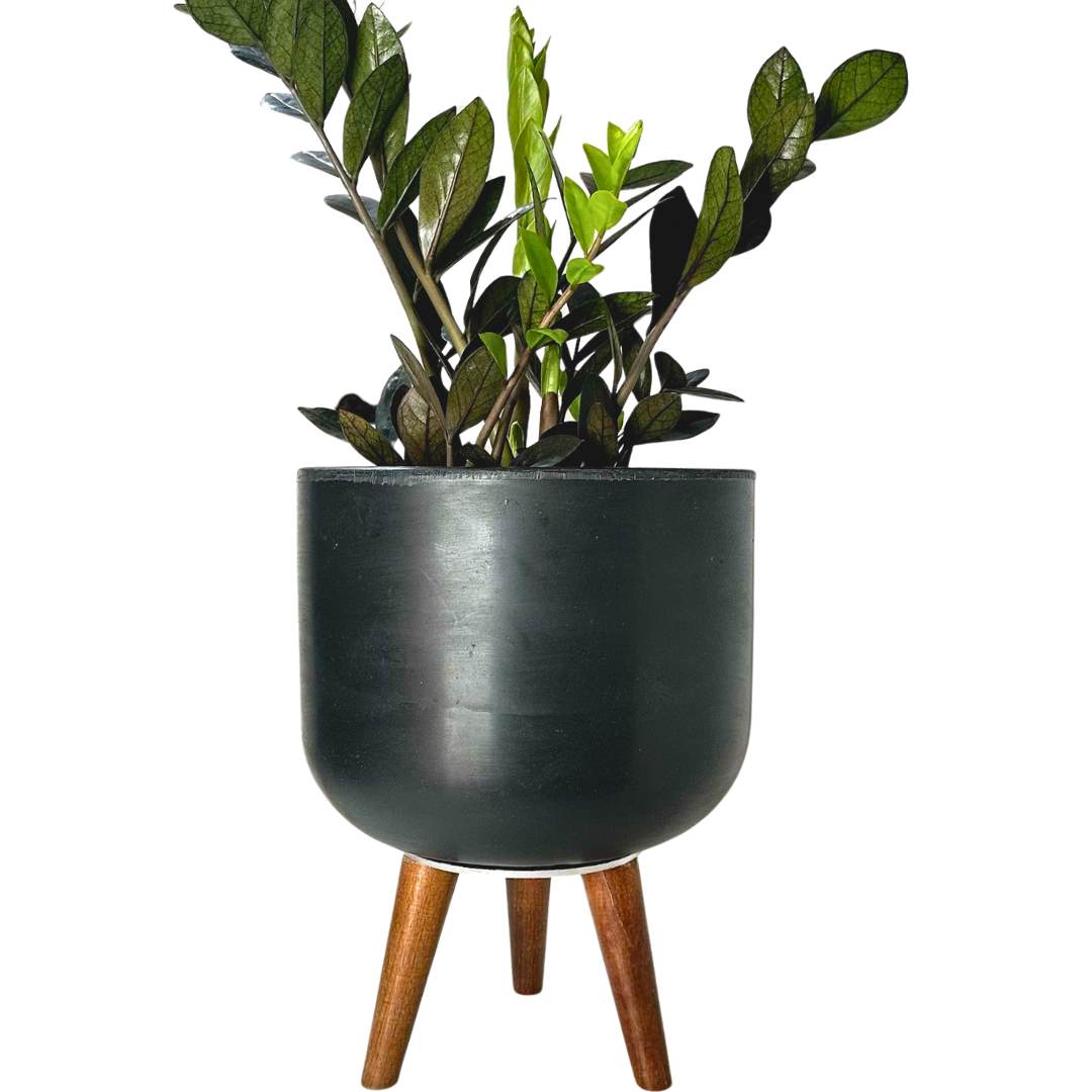 Vaso Doha Médio com Tripé de Madeira