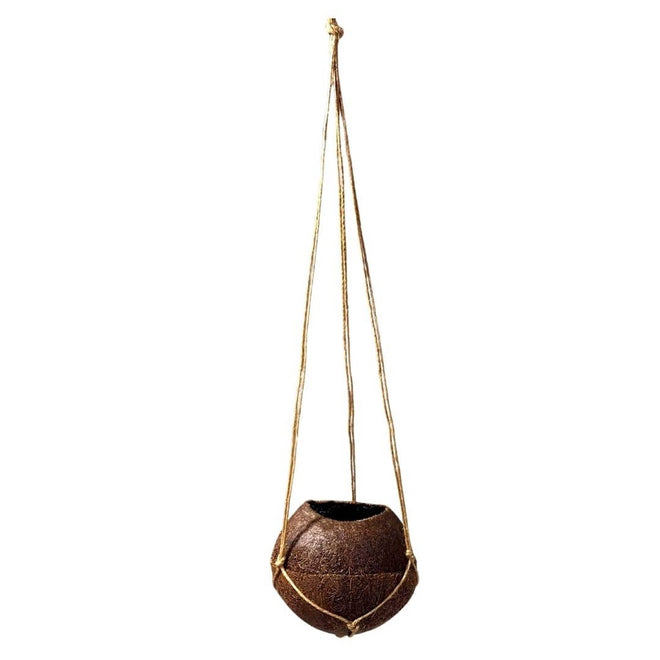 Vaso Fibra De Coco Natural Kokedama Suspenso 10x11cm