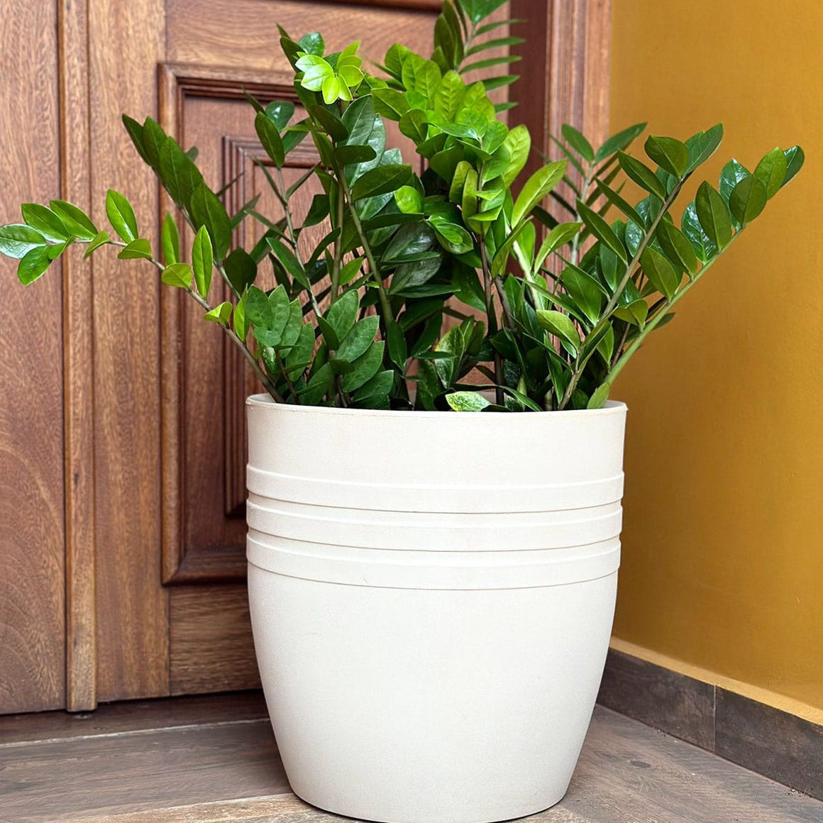 Vaso Mônaco Texturizado em Polietileno